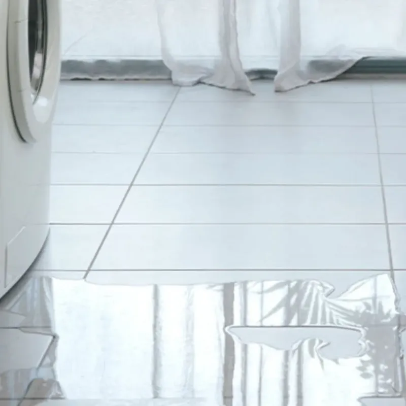 Appliance Leak Cleanup in Wayne, MI