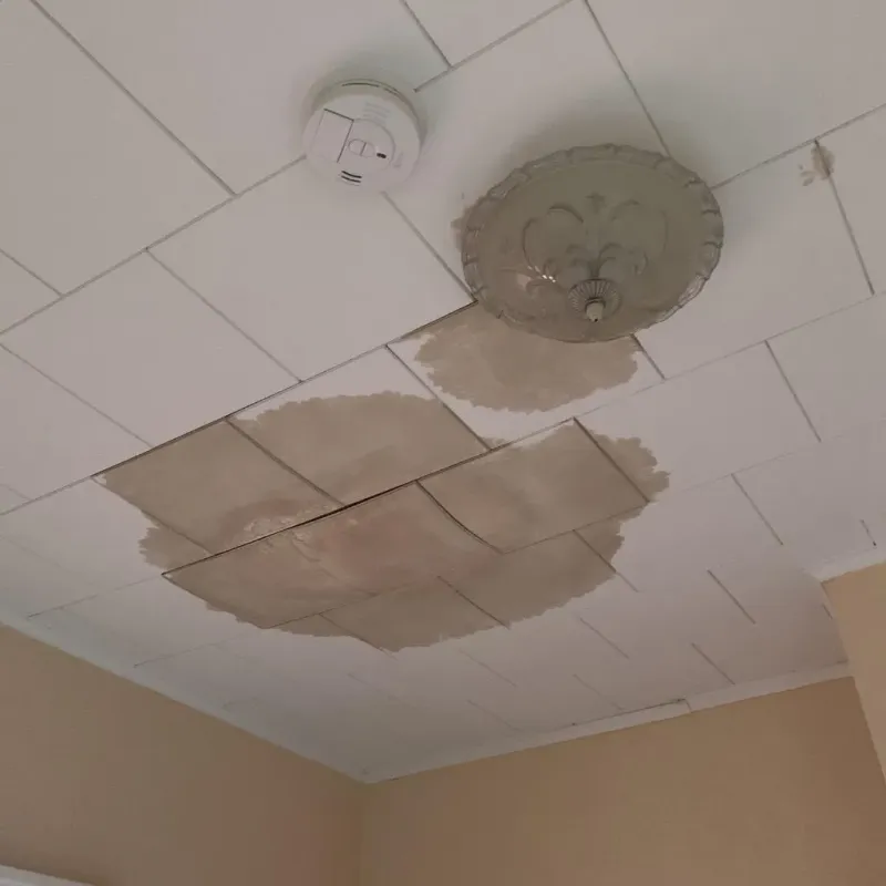 Ceiling Water Damage Repair in Wayne, MI