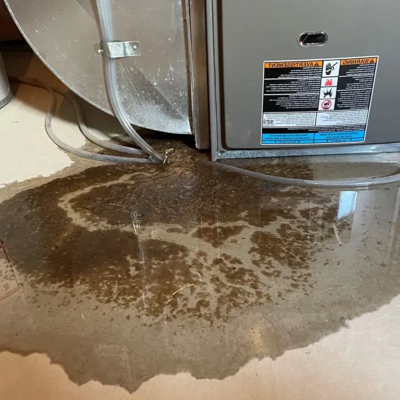 Pipe Burst and Leak Restoration in Wayne, MI